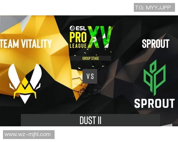 2026电竞新闻S15LOL比分CSGO战术WE节奏体系的深度解析与应用探讨